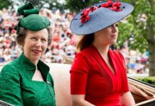 Princess Anne’s ‘trailblazer’ decision for ex-husband to be mirrored by Eugenie for Jack | Royal | News (Reports)