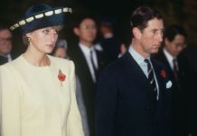 Princess Diana: Royal’s unhappiness brutally exposed on Asian trip | Royal | News (Reports)