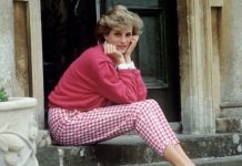 Princess Diana would urge Harry and William to ‘do a television makeup’ amid royal ‘rift’ | Royal | News (Reports)