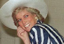 Princess Diana’s heartbreaking future plans recalled by royal author – ‘Radical’ | Royal | News (Reports)