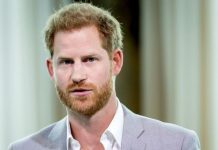 Queen news: Prince Harry thought ‘state banquets were boring’ and never wanted to attend | Royal | News (Reports)