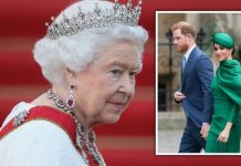 Queen ‘severs all olive branches from Megxit tree’ – Monarch shuns ‘one of her own’ | Royal | News (Reports)