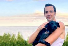 Ralf Little spent thousands flying stray dog 1,366 miles to his Florida home | UK | News (Reports)