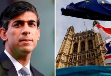 Rishi Sunak told to invest money in post-Brexit boom or face ‘silly civil service’ | UK | News (Reports)