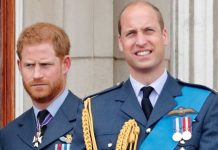 Royal Family LIVE: William won’t watch Oprah interview after Harry blindsided him– insider | Royal | News (Reports)