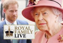 Royal Family news: Prince Harry accused of ‘betraying and disrespecting’ Queen – expert | Royal | News (Reports)