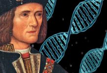 Royal mystery unravelled: DNA may tell if Richard III was a good or bad king | Royal | News (Reports)