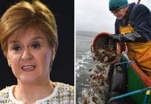 SNP fury as Scotland given ‘slap in face’ during EU fishing talks | UK | News (Reports)
