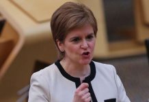 SNP news: Nicola Sturgeon sent warning over string of errors – ‘Fish rots from head down’ | UK | News (Reports)