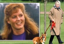 Sarah Ferguson’s first meeting with royals went ‘monumentally wrong’ after corgi mishap | Royal | News (Reports)