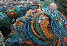 Scottish Seafood Exports Taskforce – second meeting update