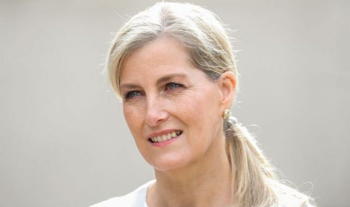 Sophie Wessex shows off artistic side in heartwarming video appearance | Royal | News