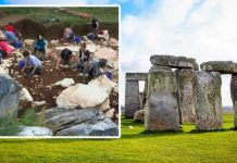 Stonehenge story ‘twist’ after 5,000-year-old charred remains of ‘Neolithic lunch’ found | UK | News (Reports)