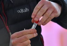 Surge testing postcodes: New areas see surge testing to tackle South African strain – list | UK | News (Reports)
