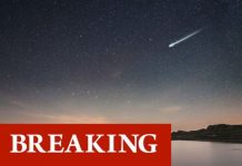 UK meteor shower: 60 fireballs reported in skies over Britain ‘Couldn’t believe my eyes!’ | UK | News (Reports)