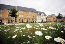 VIVID: building ambitious new grant-funded homes – Case study