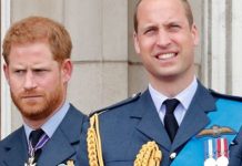 William and Harry to honour Diana with tribute ‘exclusively reserved’ to kings and queens | Royal | News (Reports)