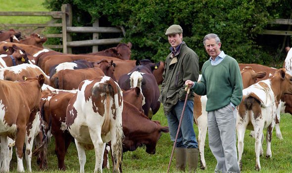 prince charles duchy prince charles duchy