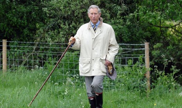 prince charles enviornment half term challenge prince charles enviornment half term challenge