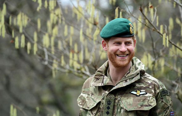 prince harry news duke of sussex military titles captain general royal marines royal news