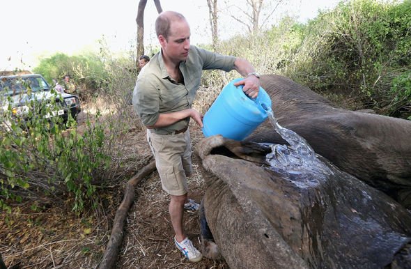 prince william news duke cambridge park ranger donation charity wildlife royal family news prince william news duke cambridge park ranger donation charity wildlife royal family news