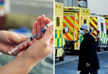 Brazil variant: Do vaccines work against the variant? | UK | News (Reports)