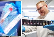 Brazil variant stronger against Covid vaccine but doubts raised on faster spread claims | UK | News (Reports)