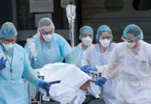 Covid panic: Health officials scramble to trace passenger with deadly Brazilian variant | UK | News (Reports)