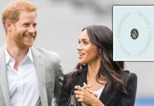 Meghan Markle and Harry accused of bitter jab at Queen with pointed Archewell logo change | Royal | News (Reports)