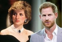 Princess Diana v Prince Harry: Expert explains why their royal struggles weren’t the same | Royal | News (Reports)