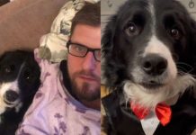 Tik Tok: ‘Talking dog’ becomes a viral sensation with more than half a million followers | UK | News (Reports)