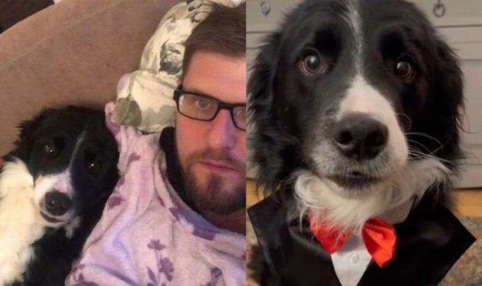 Tik Tok: ‘Talking dog’ becomes a viral sensation with more than half a