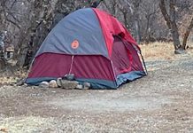 A Woman Spent Over 5 Months Surviving In A Utah Canyon & Was Just Found Safe A Woman Spent Over 5 Months Surviving In A Utah Canyon & Was Just Found Safe