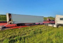 English road left looking like a ‘horror film’ after tomato puree spillage (Report) English road left looking like a ‘horror film’ after tomato puree spillage (Report)