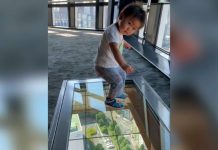 Toddler has hilarious reaction to glass floor viewing deck (Video) Toddler has hilarious reaction to glass floor viewing deck (Video)