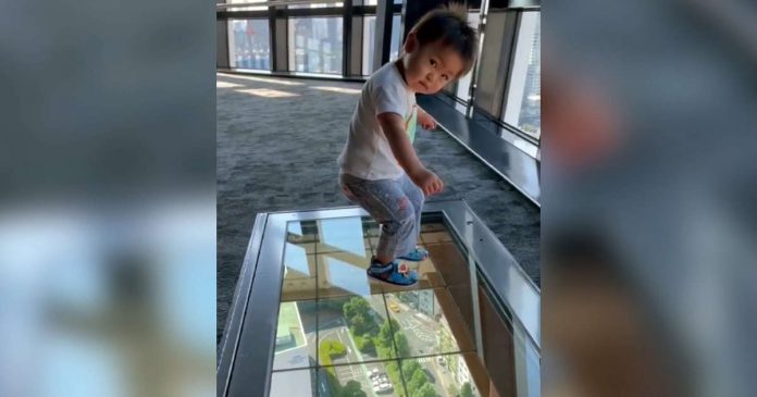 Toddler has hilarious reaction to glass floor viewing deck (Video)