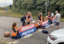Four cars collide as climate protesters block part of M25