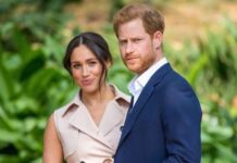 Prince Harry and Meghan Markle’s Oprah interview loses at Emmys to Stanley Tucci’s travel show, Report Prince Harry and Meghan Markle's Oprah interview loses at Emmys to Stanley Tucci’s travel show, Report